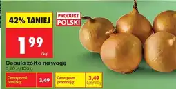 Biedronka Cebula żółta na wage oferta