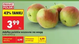 Biedronka Jabłko polskie wczesne na wagę oferta