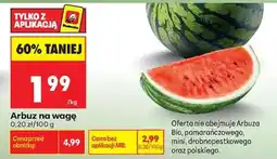 Biedronka Arbuz na wagę oferta