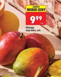 Biedronka Mango dojrzałe, szt oferta
