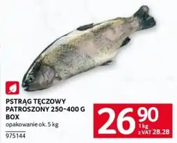 Selgros Pstrąg Tęczowy Patroszony oferta