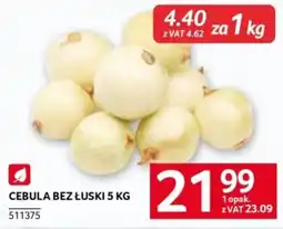 Selgros CEBULA BEZ ŁUSKI 5 KG oferta
