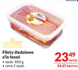 Makro Filety śledziowe a'la tosóś oferta
