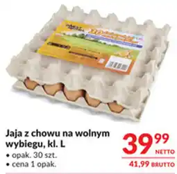 Makro Jaja z chowu na wolnym wybiegu, kl. L oferta