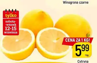 Delikatesy Piotruś Pan Cytryna oferta