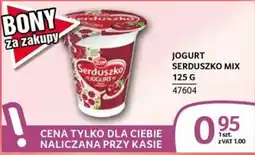 Selgros Jogurt Serduszko Mix oferta