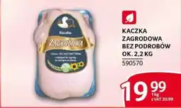 Selgros Kaczka Zagrodowa oferta