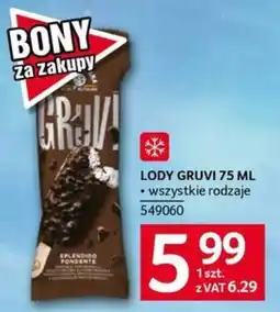 Selgros Lody Gruvi oferta