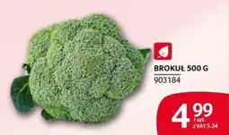 Selgros Brokuł oferta