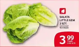 Selgros Sałatka Little Gem oferta