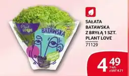 Selgros Sałatka Batawska Plant Love oferta