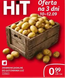 Selgros Ziemniaki Jadlane Do Gotowania Luz oferta
