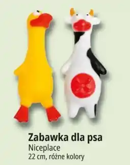 E.Leclerc Zabawka dla psa Niceplace oferta