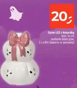 Dealz Dynie LED z kokardką oferta