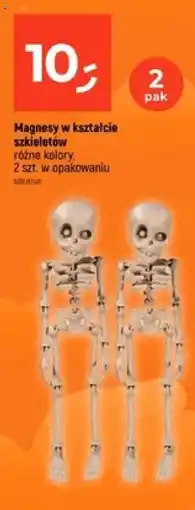 Dealz Magnesy w kształcie szkieletów oferta