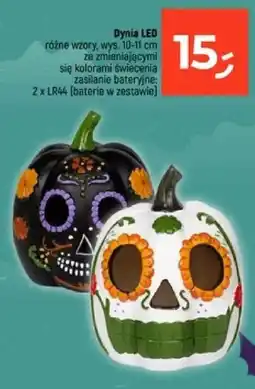 Dealz Dynia LED oferta