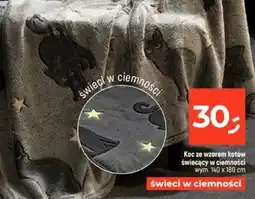 Dealz Koc ze wzorem kotów oferta