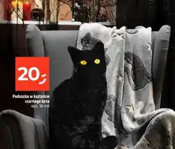 Dealz Poduszka w kształcie czarnego kota oferta
