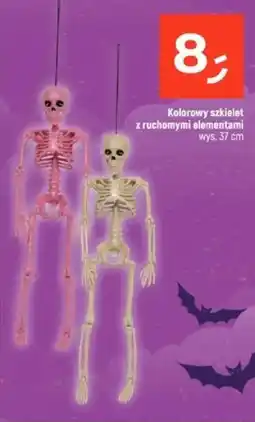 Dealz Kolorowy szkielet z ruchomymi elementami oferta