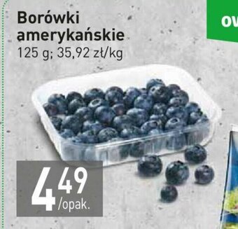 Stokrotka Borówki amerykańskie 125g oferta