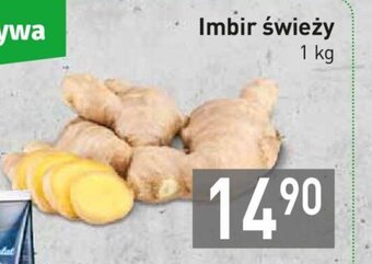 Stokrotka Imbir świeży 1kg oferta