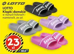 Tedi LOTTO Klapki damskie oferta