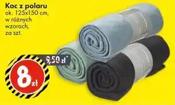 Tedi Koc z polaru oferta