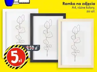 Tedi Ramka na zdjęcia oferta