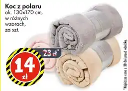 Tedi Koc z polaru oferta