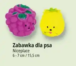 E.Leclerc Zabawka dla psa Niceplace oferta