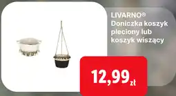 Lidl LIVARNO Doniczka koszyk pleciony lub koszyk wiszący oferta