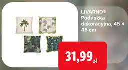 Lidl LIVARNO Poduszka dekoracyjna, 45 x 45 cm oferta