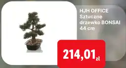 Lidl HJH OFFICE Sztuczne drzewko BONSAI 44 cm oferta
