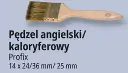 E.Leclerc Pędzel angielski/kaloryferowy Profix oferta