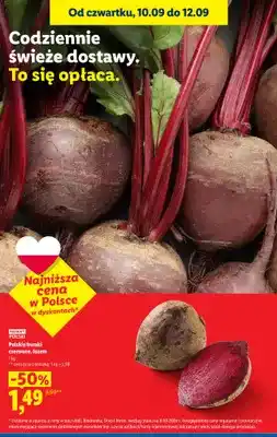 Lidl Polskie buraki czerwone luzem oferta