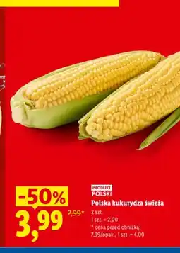 Lidl Kukurydza świeża 2-pak oferta