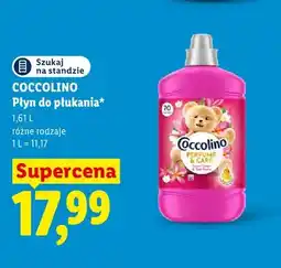 Lidl Płyn do płukania Coccolino Perfume & Care oferta