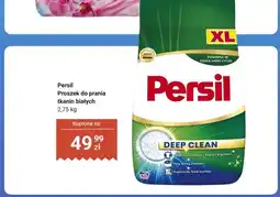 Dino Proszek do prania tkanin białych Persil Deep Clean oferta