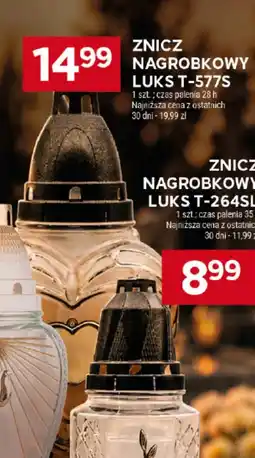 Stokrotka Market Znicz Luks oferta