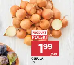 Stokrotka Market Cebula Polski oferta