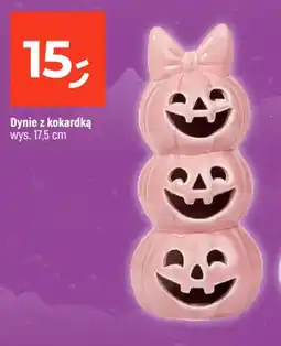 Dealz Dynie z kokardką oferta