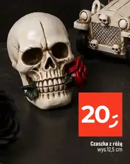 Dealz Czaszka z różą oferta
