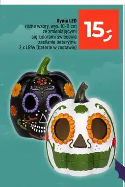 Dealz Dynia LED wys. 10-11 cm oferta