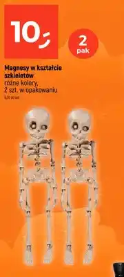 Dealz Magnesy w kształcie szkieletów 2-pak oferta