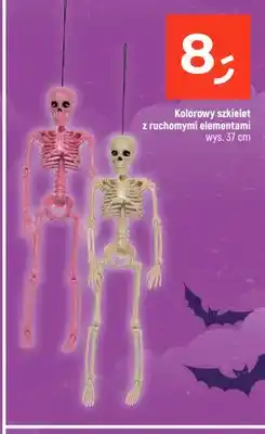 Dealz Kolorowy szkielet z ruchomymi elementami oferta