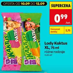 Biedronka Lody Kaktus XL Patec Sensei oferta