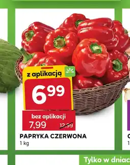 Stokrotka Express Papryka oferta