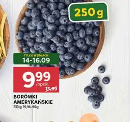 Stokrotka Borówki oferta