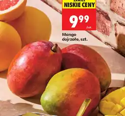Biedronka Mango oferta