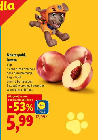 Lidl Nektarynki oferta
